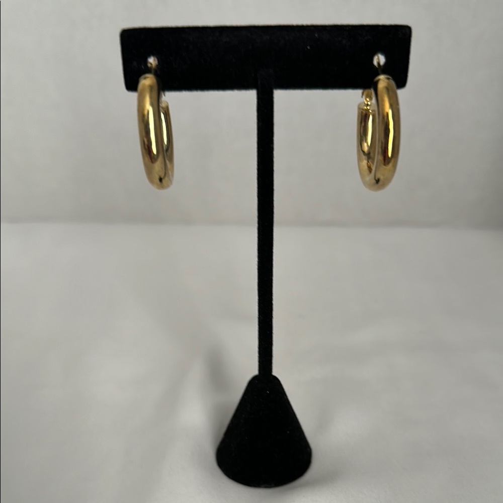 Elegant Gold Hoop Earrings